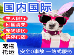 海西花土沟航空快运国际宠物托运 【国